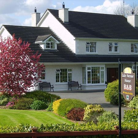 Lake Avenue House Ballyconnell  Exteriör bild